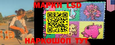 шишки Кинель
