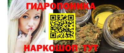 шишки Кинель