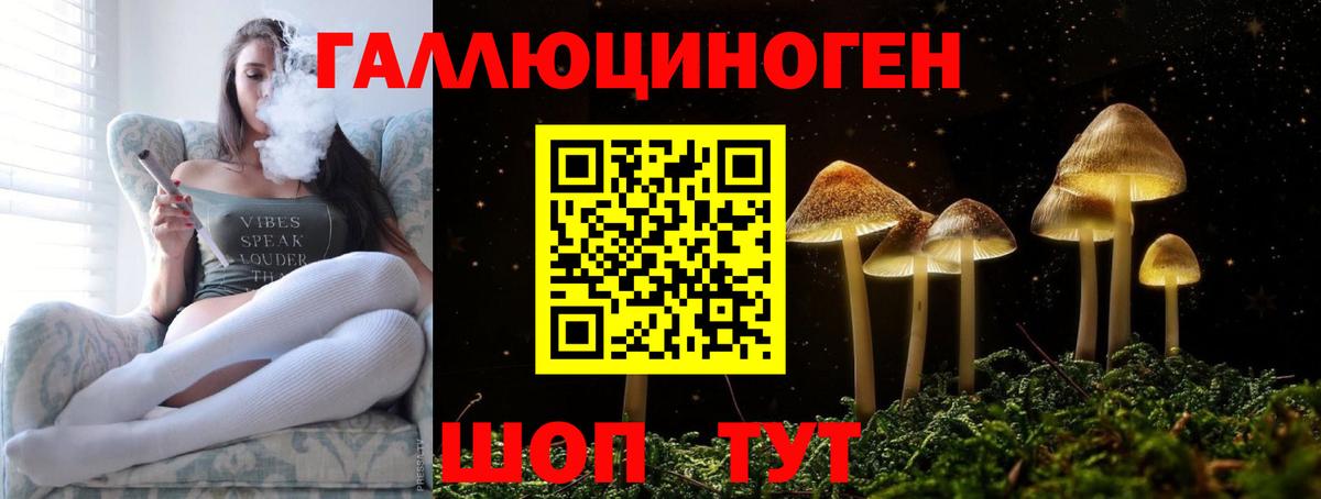 Псилоцибиновые грибы Psilocybe  Вход с VPN  Псилоцибиновые грибы Psilocybine cubensis  Кумертау 