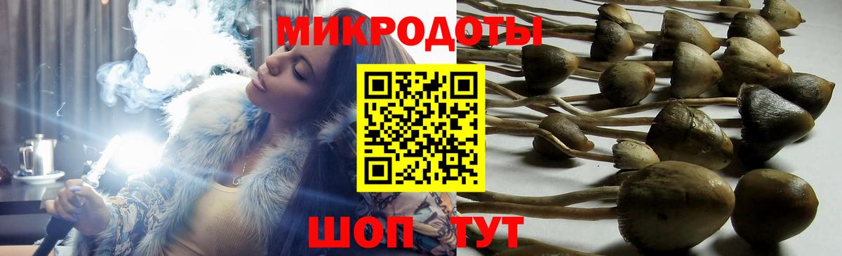 Псилоцибиновые грибы Psilocybine cubensis Кумертау